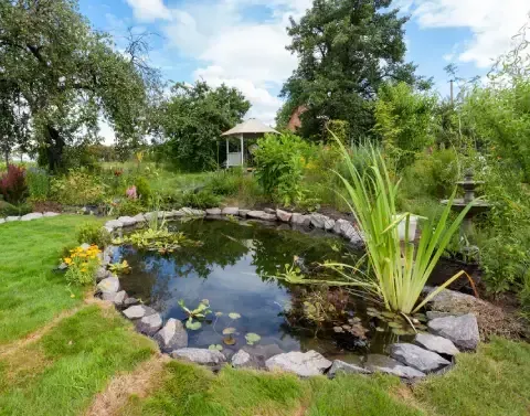 Custom pond installation creating an attractive backyard water feature