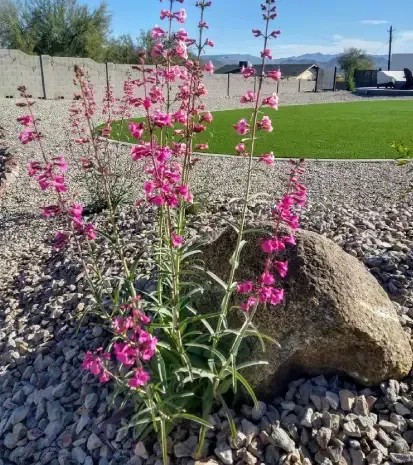 Decorative boulder installation in Black Canyon City, AZ