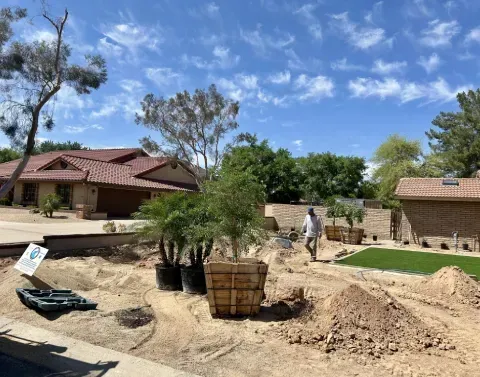 Desert landscape installation with drought-tolerant plants and natural materials