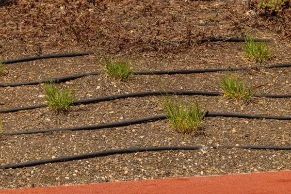 drip irrigation system black canyon city az