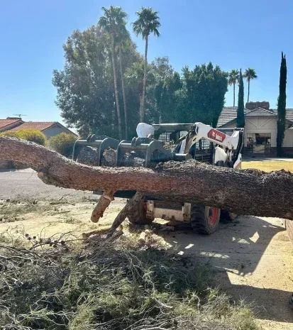 Emergency tree service in Black Canyon City, AZ