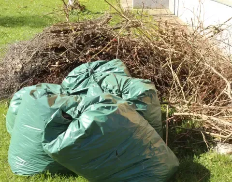 Fall yard cleanup removing accumulated leaves and outdoor debris
