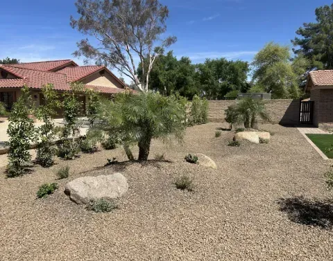 Front yard landscape installation enhancing the property's outdoor appearance