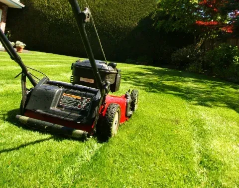 Grass cutting service creating a clean and well-maintained lawn