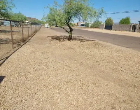Landscape care maintaining healthy and well-kept outdoor spaces