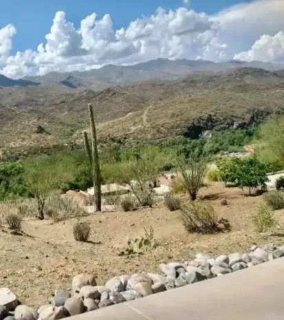 Landscape cleanup and yard debris removal in Black Canyon City, AZ