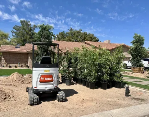 Landscape design and installation transforming a residential yard