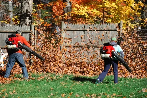 Lawn care, mowing, and yard maintenance in Black Canyon City, AZ
