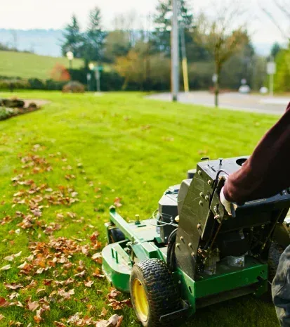 Lawn mowing and maintenance