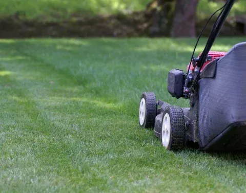 Professional lawn care service maintaining healthy, neatly cut grass