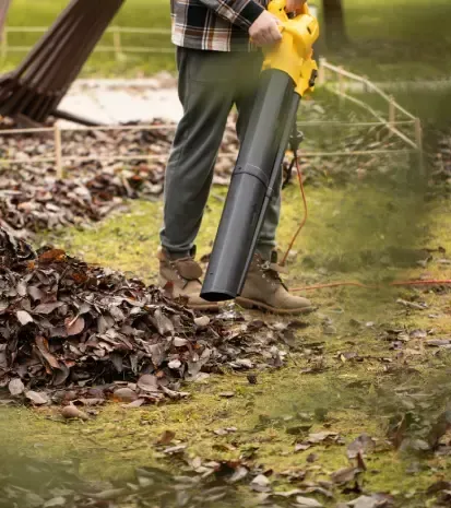 Lawn mowing and professional yard maintenance in Black Canyon City, AZ
