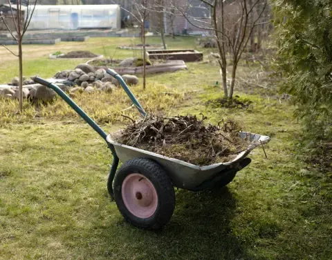 Yard cleanup removing leaves and branches from a residential lawn