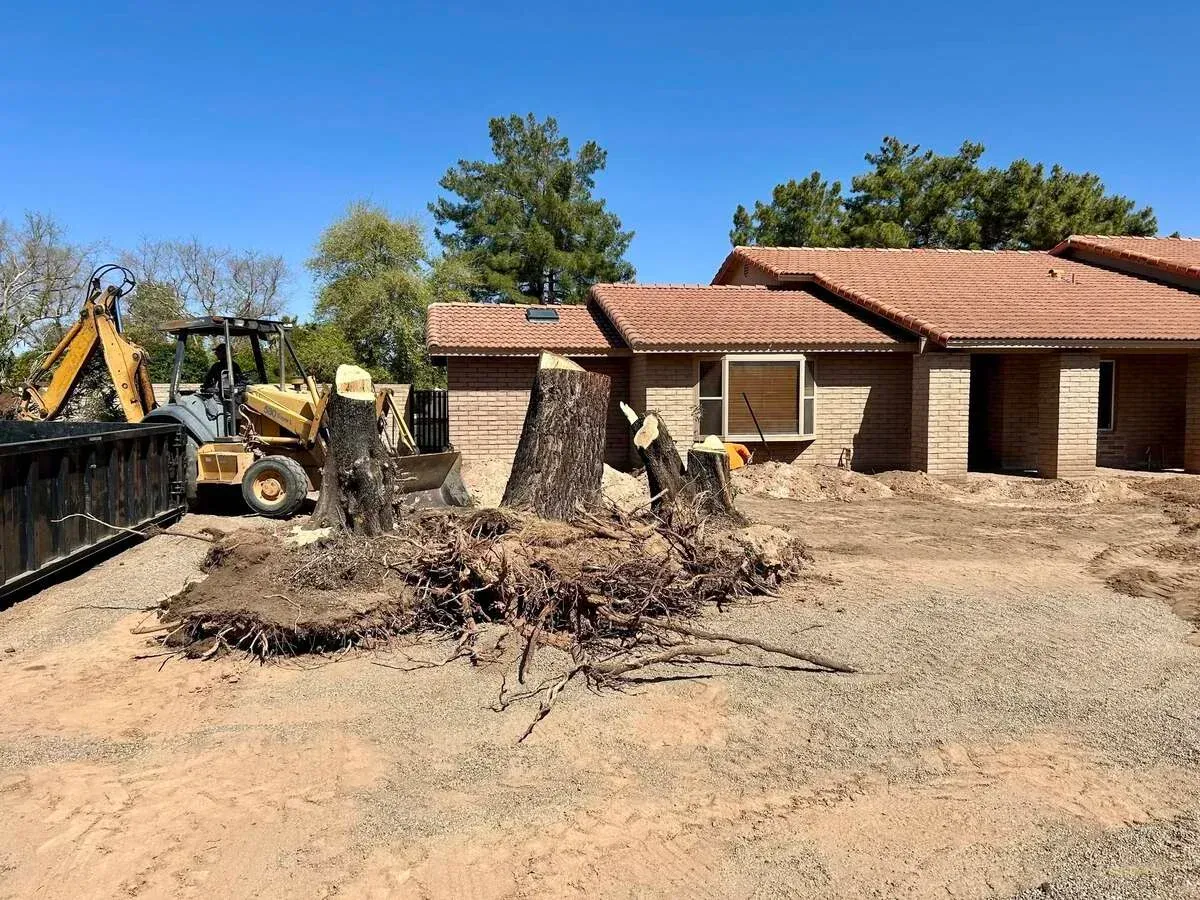 Outdoor landscaping services in Black Canyon City, AZ