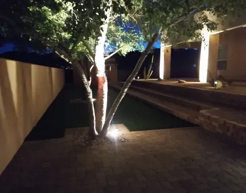 Outdoor lighting installation adding illumination to a landscaped property