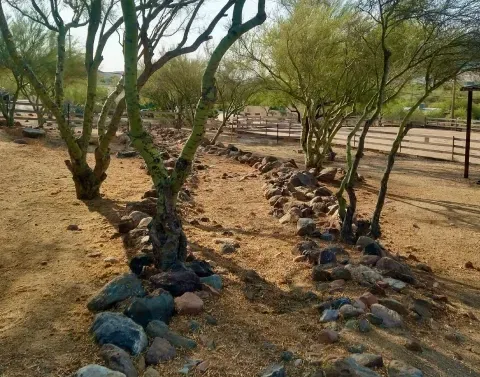 planting bed boulder placement black canyon city az