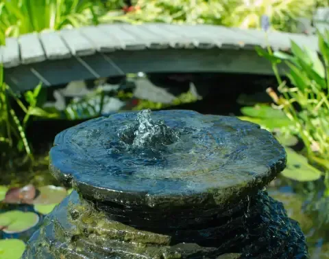 Pond installation creating a natural feature within a residential landscape
