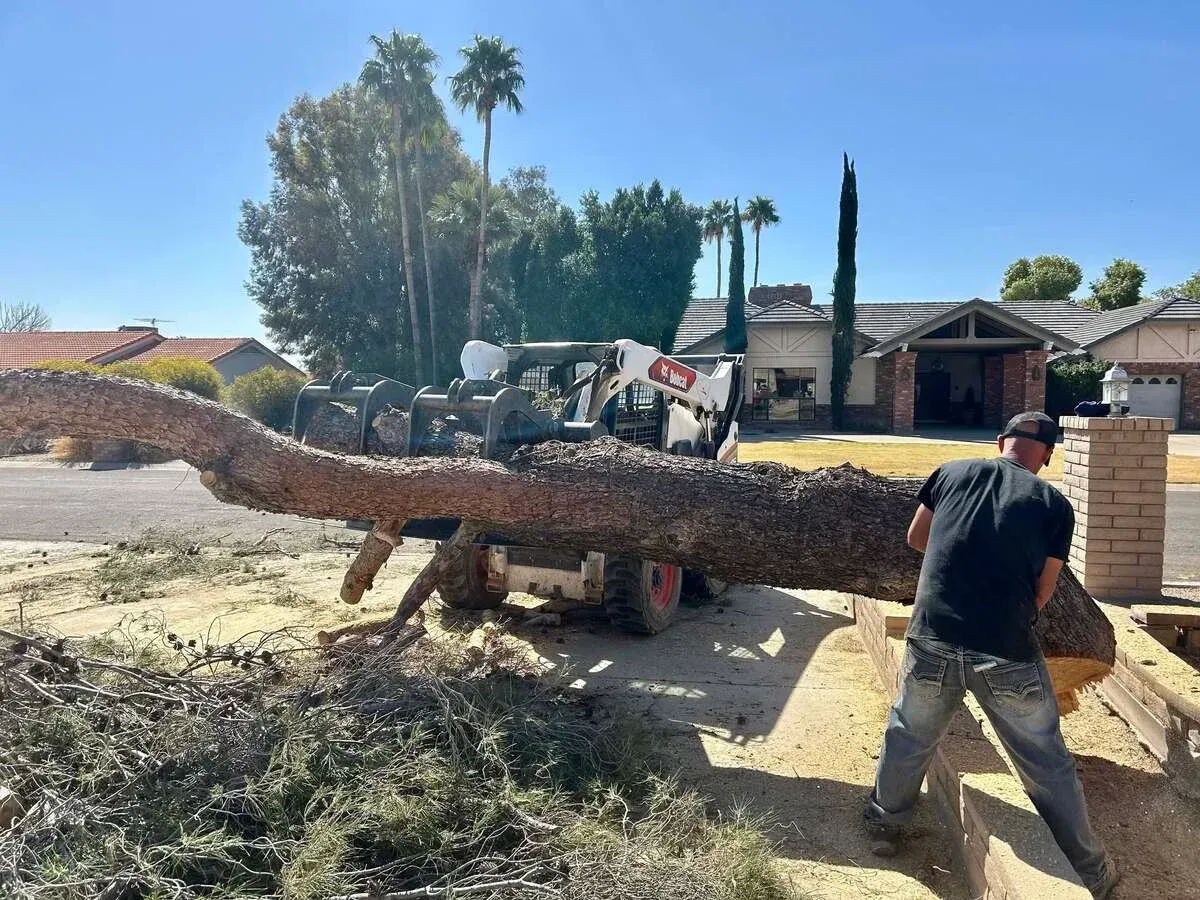 Professional landscape maintenance in Black Canyon City, AZ