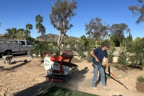 Residential landscape installation with plants and defined outdoor areas