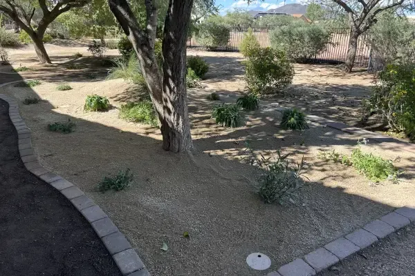 Residential landscape maintenance caring for plants and outdoor areas