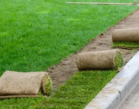 Residential sod installation creating a green and finished lawn