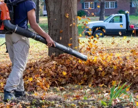 Residential yard cleanup restoring a clean and manageable outdoor space
