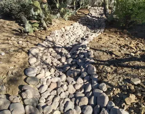 Rock and gravel landscaping creating defined areas around plants and pathways