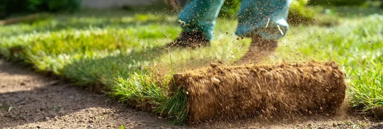 Professional sod installation creating a fresh and uniform residential lawn