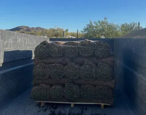 Sod lawn installation transforming a prepared outdoor area