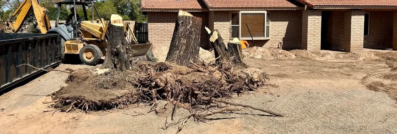 stump grinding service in black canyon city az