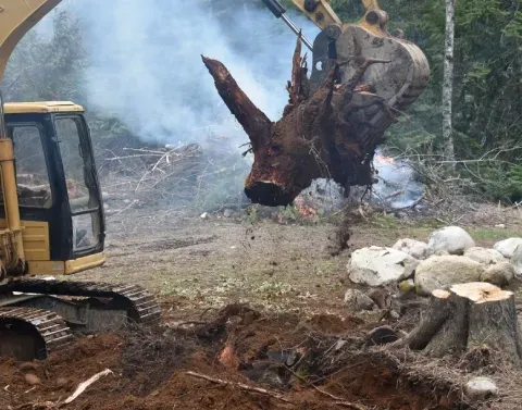 stump grinding options in black canyon city az