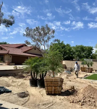 Tree installation in Black Canyon City, AZ