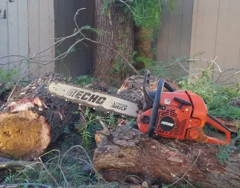 tree services safety in black canyon city az