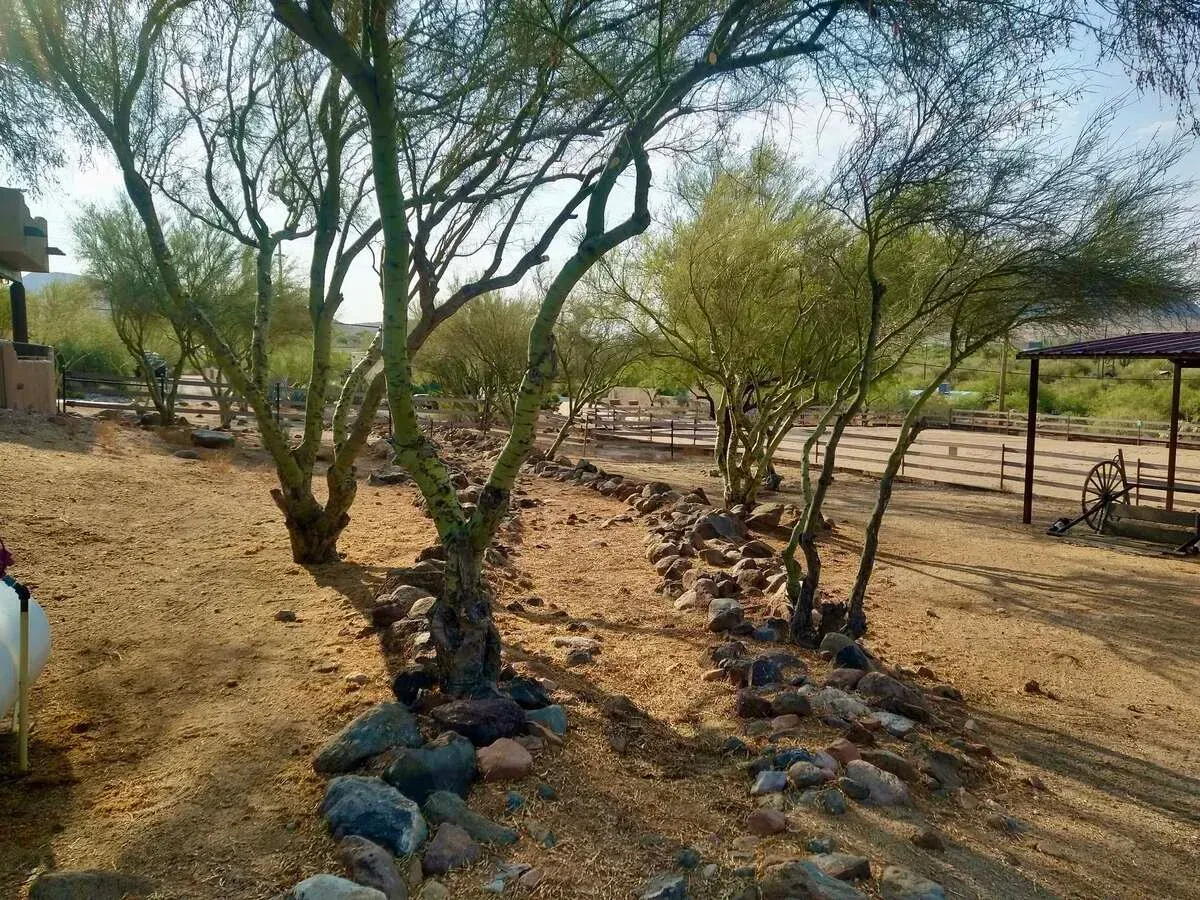 Trusted landscaping company in Black Canyon City, AZ