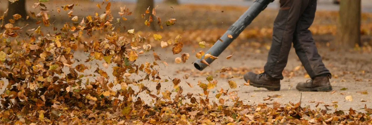 Yard cleanup removing seasonal debris from a residential property