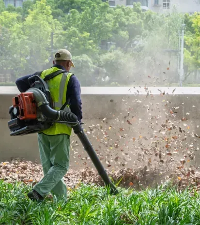 Yard cleanup services in Black Canyon City, AZ