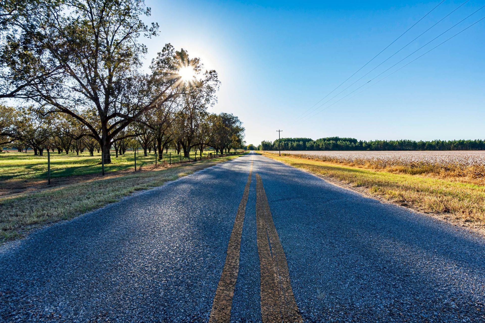 Country Road With a Pecan Grove — Pinson, AL — Campbell's Paving, Asphalt & Concrete, LLC
