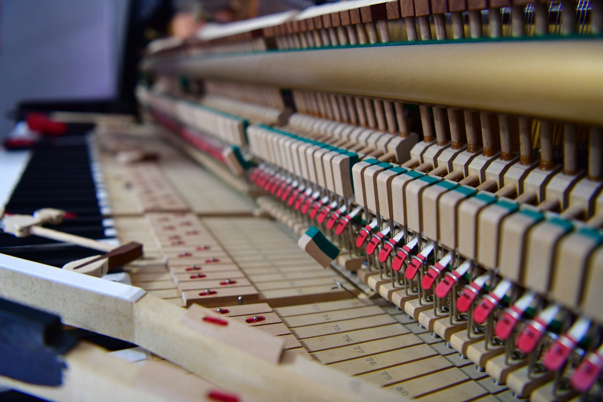 A close up of the inside of a piano showing the keys and hammers.