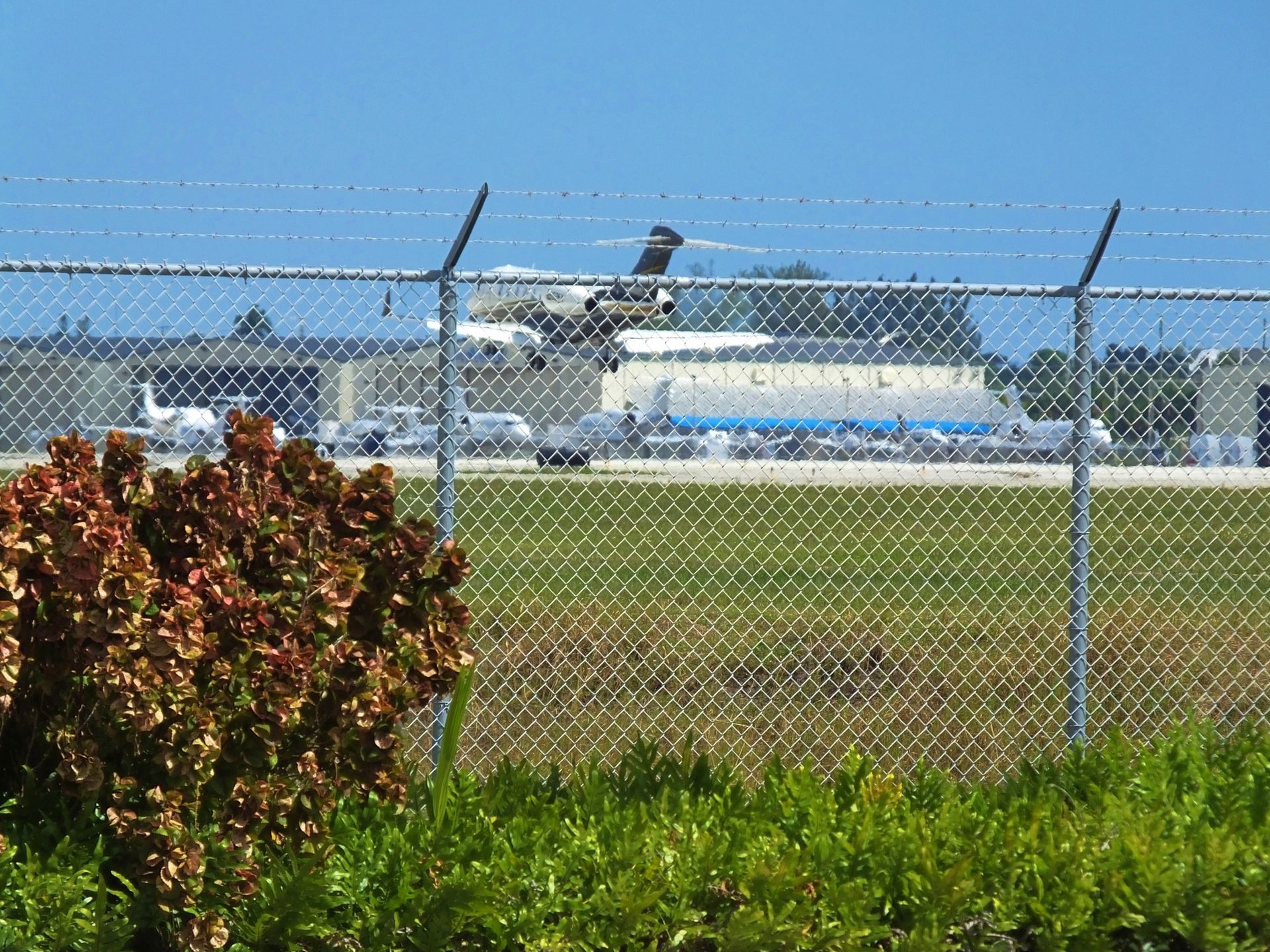 A white airplane in flight above an airport tarmac, seen through a chain-link fence with foliage in the foreground.