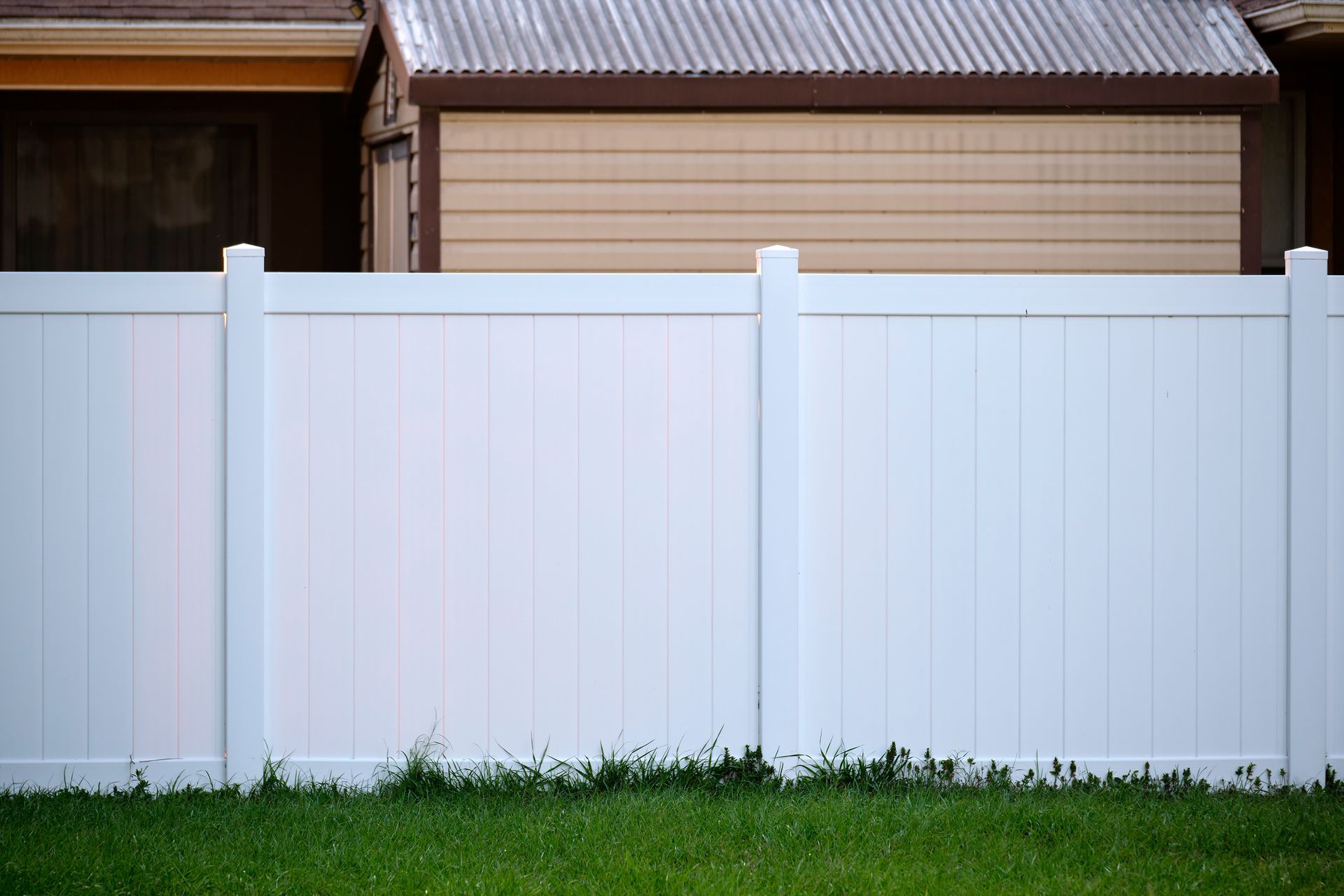 A white vinyl privacy fence stands in front of a tan shed and green grass.
