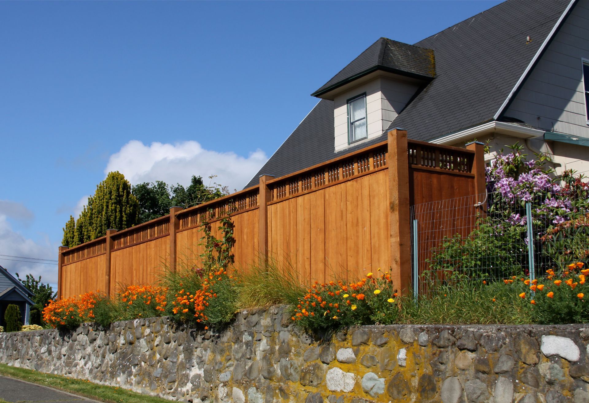 A wooden privacy fence stands behind a stone retaining wall filled with orange marigolds, next to a house under a blue sky.