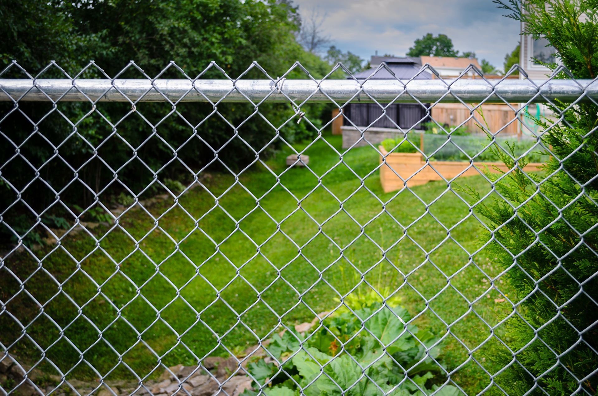 A view through a chain-link fence of a grassy backyard featuring a garden bed and a small structure in the distance.