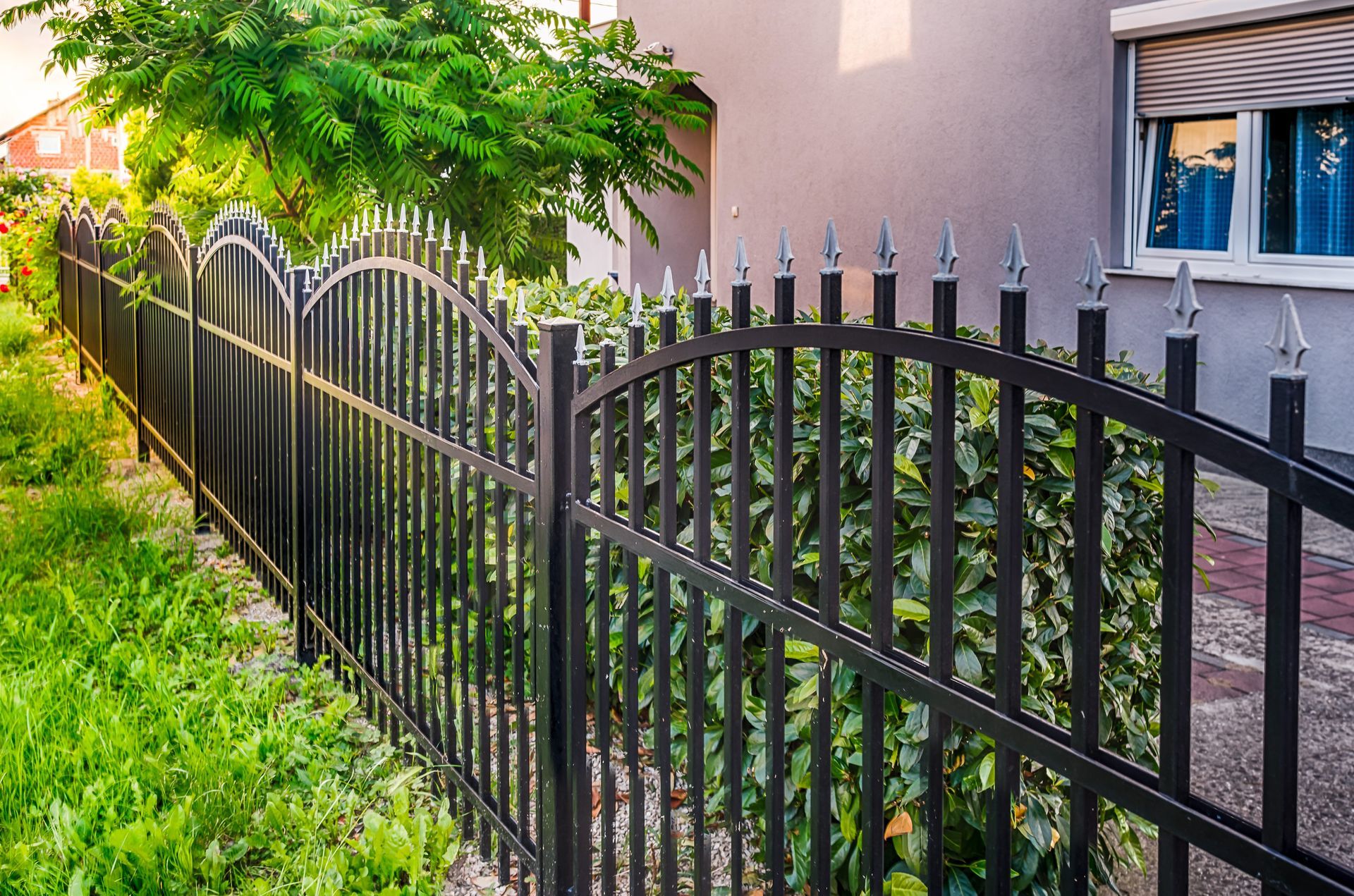 A black metal arched picket fence runs along a manicured garden next to a house with a window.