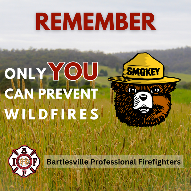 A poster that says remember only you can prevent wildfires