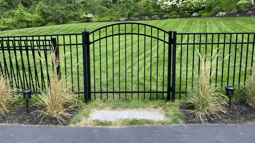 Black metal garden gate in a grassy yard beside a paved path, framed by shrubs and trees.