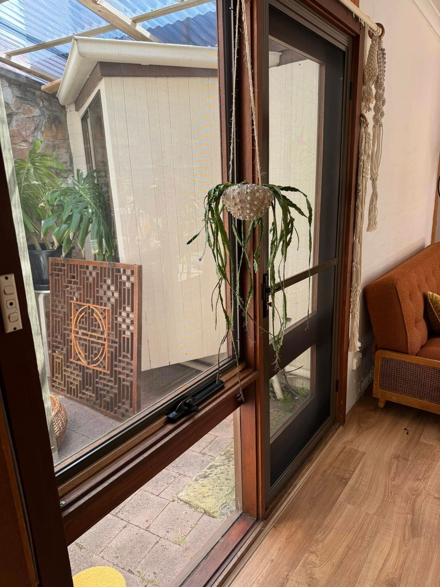 A Wooden-framed Sliding Glass Door — Rodens Repairs Flyscreens and Doors In Forcett, TAS