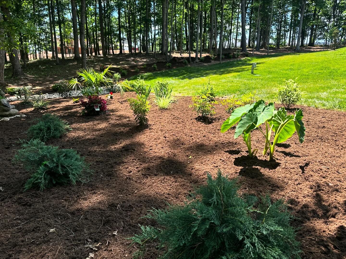 Planting Services