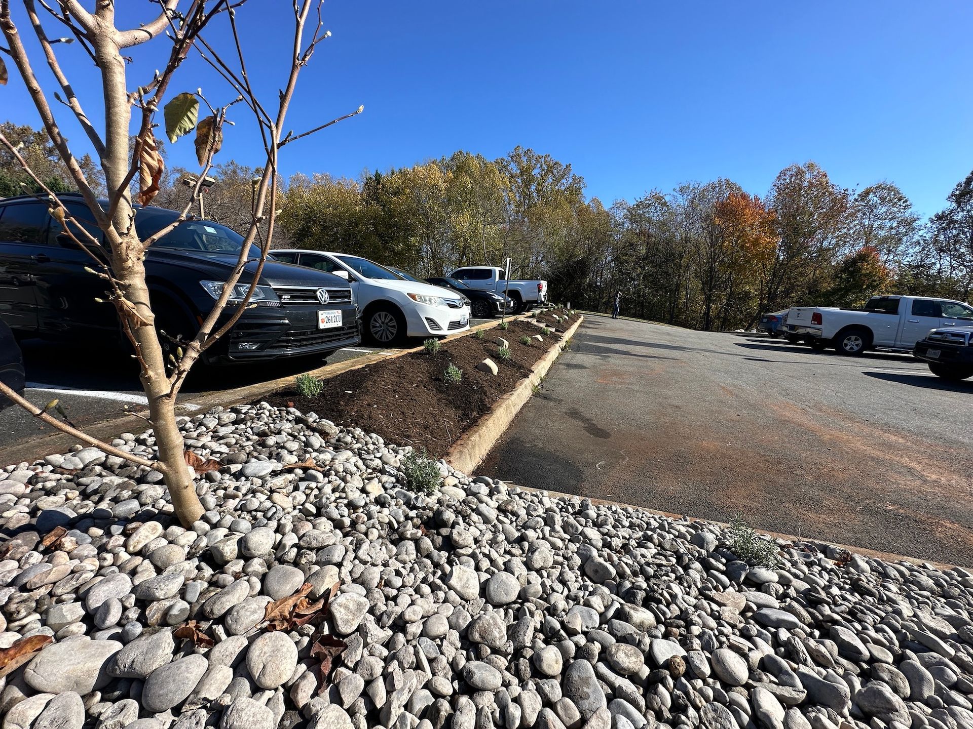 Rock Landscape Installation