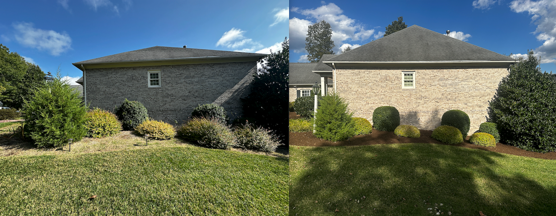 Before and After Landscape