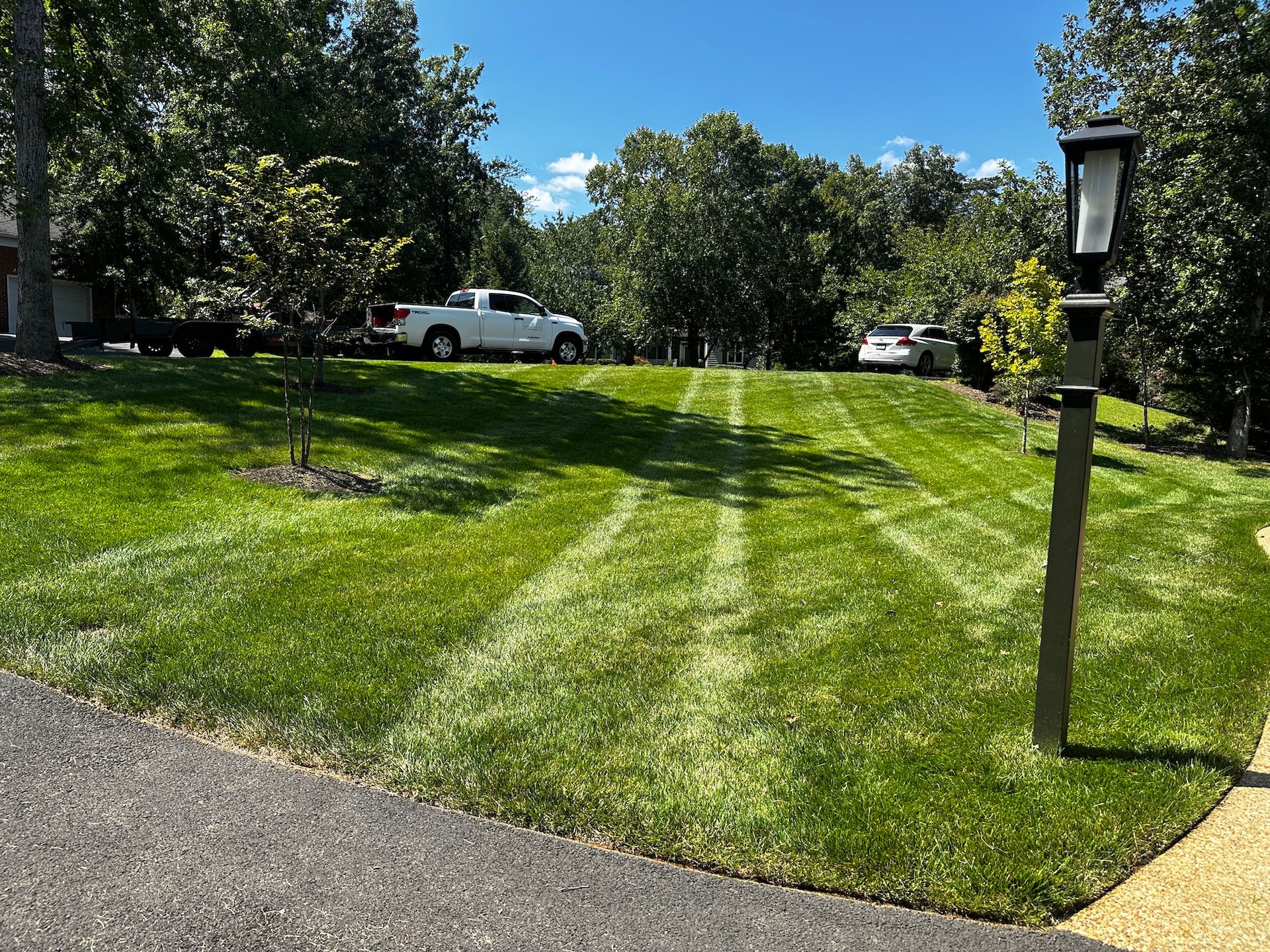 Lawn Care