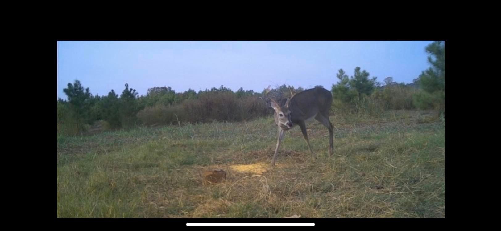 Gallery Bivins, TX Boggy Creek Outfitters